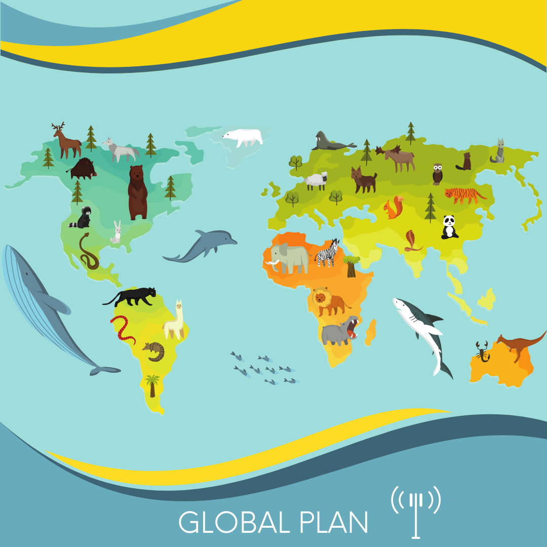 GLOBAL_1914fbbc-27c2-429c-aa2e-bf5973edbd44